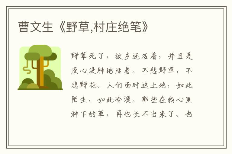 曹文生《野草,村莊絕筆》