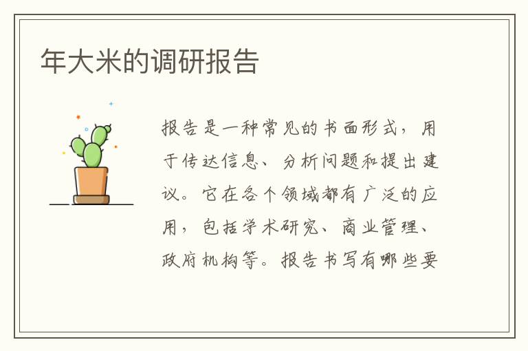 年大米的調研報告